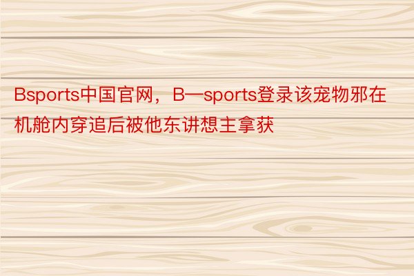 Bsports中国官网，B—sports登录该宠物邪在机舱内穿追后被他东讲想主拿获