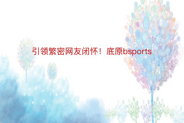 引领繁密网友闭怀！底原bsports